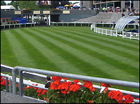 Geraniums gave the grounds a lift