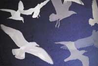 Clawr 'Y Gemydd', gan Caryl Lewis