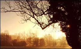 Brimpton sunrise