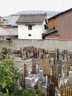 The view from my balcony, a cemetary and a