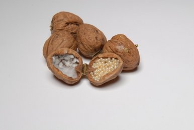 Pearl Wunderkammer Wallnuts