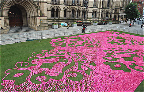 Carpet of Flowers 