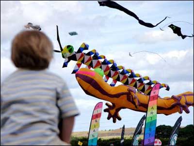 Child watching kites flying