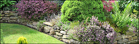 A Garden