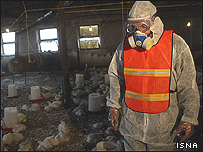 مبارزه با مرغان مشکوک