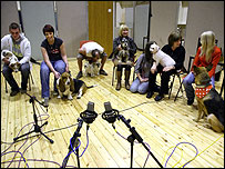 Gravação do coral de cães