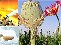 مبارزه با مواد مخدر