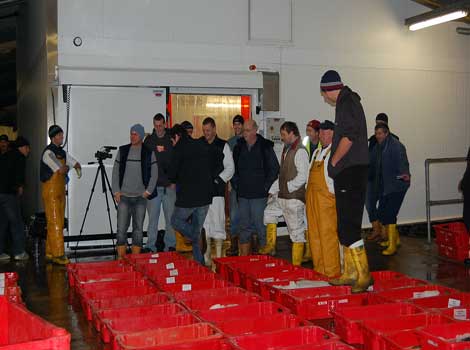 Newlyn Fish Market