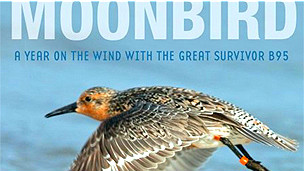 Tapa del libro "Un año al viento con B95, el gran sobreviviente", de Phillip Hoose