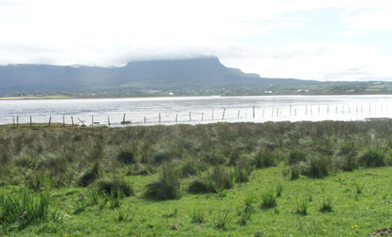 Under Ben Bulben.