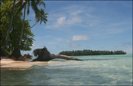 Palms falling into the sea, the split island of Huni in the background