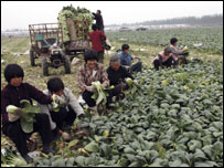 Nông dân Trung Quốc