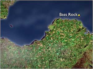 Bass Rock