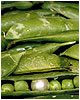 Pea Pods.