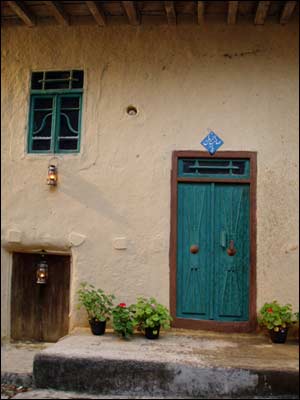 عکس از مجيد عباسی