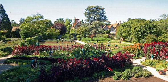 Vegetable Garden at Le Manoir aux Quat'Saisons