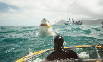 I'm assuming it's not Brian in the cage ?... what a sight. Pic: Bri McGlinchy 07