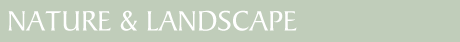 Nature & Landscape