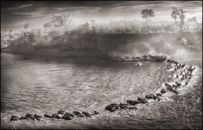 Foto: Nick Brandt. Cortesia A. Galerie