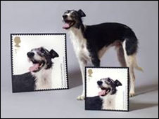 Selos comemorativos dos correios britânicos mostram cães e gatos (Royal Mail)