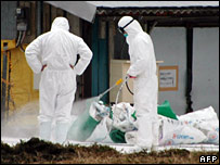 Trại gà ở thị trấn Kiyotake, tỉnh Miyazaki