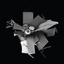 Review of Prinzhorn Dance School Review of Prinzhorn Dance School