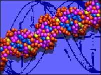 ساختمان دی ان اِی