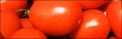 Tomatoes
