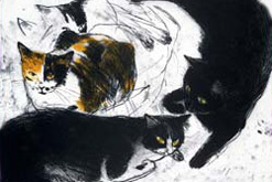 Studies of cats, 1994