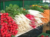 ترکاري پلورل