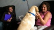 Pennie meets with Sally and her canine partner Harmony in their Edinburgh home.