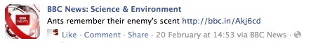 BBC News story in Facebook: Ants remember their enemy's scent