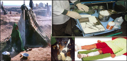 زوړښار، نوې هيلې