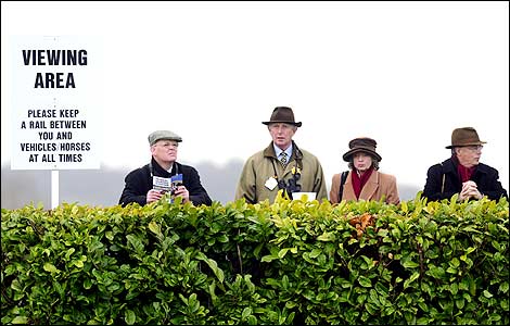 Racegoers watch the racing at the Cheltenham National Hunt Festival 2008 (Getty image)