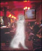 A ghostly figure makes her way across a pub
