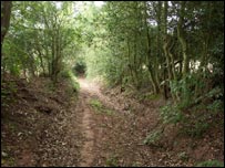 Green lane near Clee St Margaret