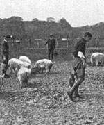 farm workers