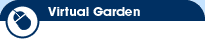 Virtual Garden