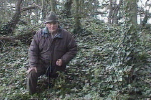 Hawson thinks the creeper is taking over