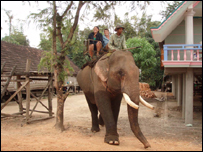 Unique taxi ride for Rachael and her friend Nay