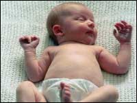 Baby