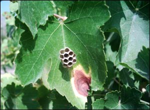 عکس از عليرضا قرگزلو