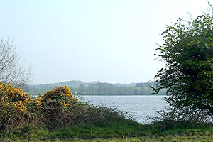 Lake Acton