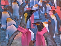 Imagem: Per Aas/NHM-Oslo