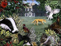 جنگل و حيوانات