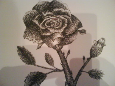 La Rose =D