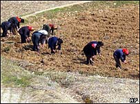 Kuzey Koreli çiftçiler