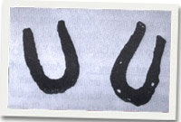 Pedolau mul Owen Ifan, Sychbant