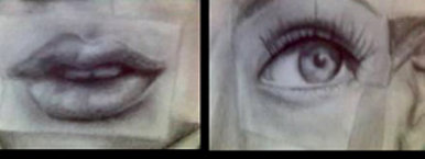 Features of the Face