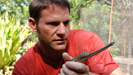 Steve Backshall with a gharial